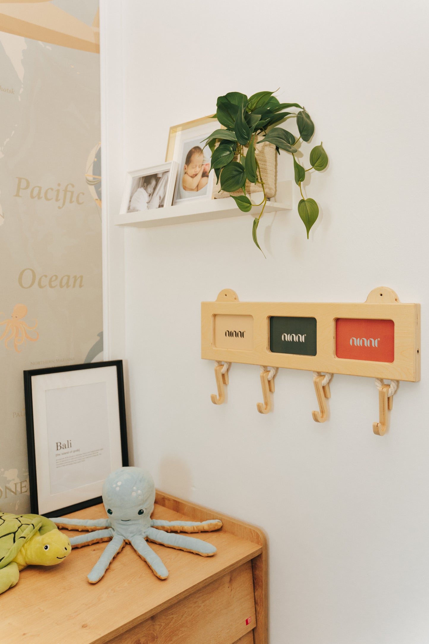 Wander Play - La Palestrina evolutiva Kit 3 in 1