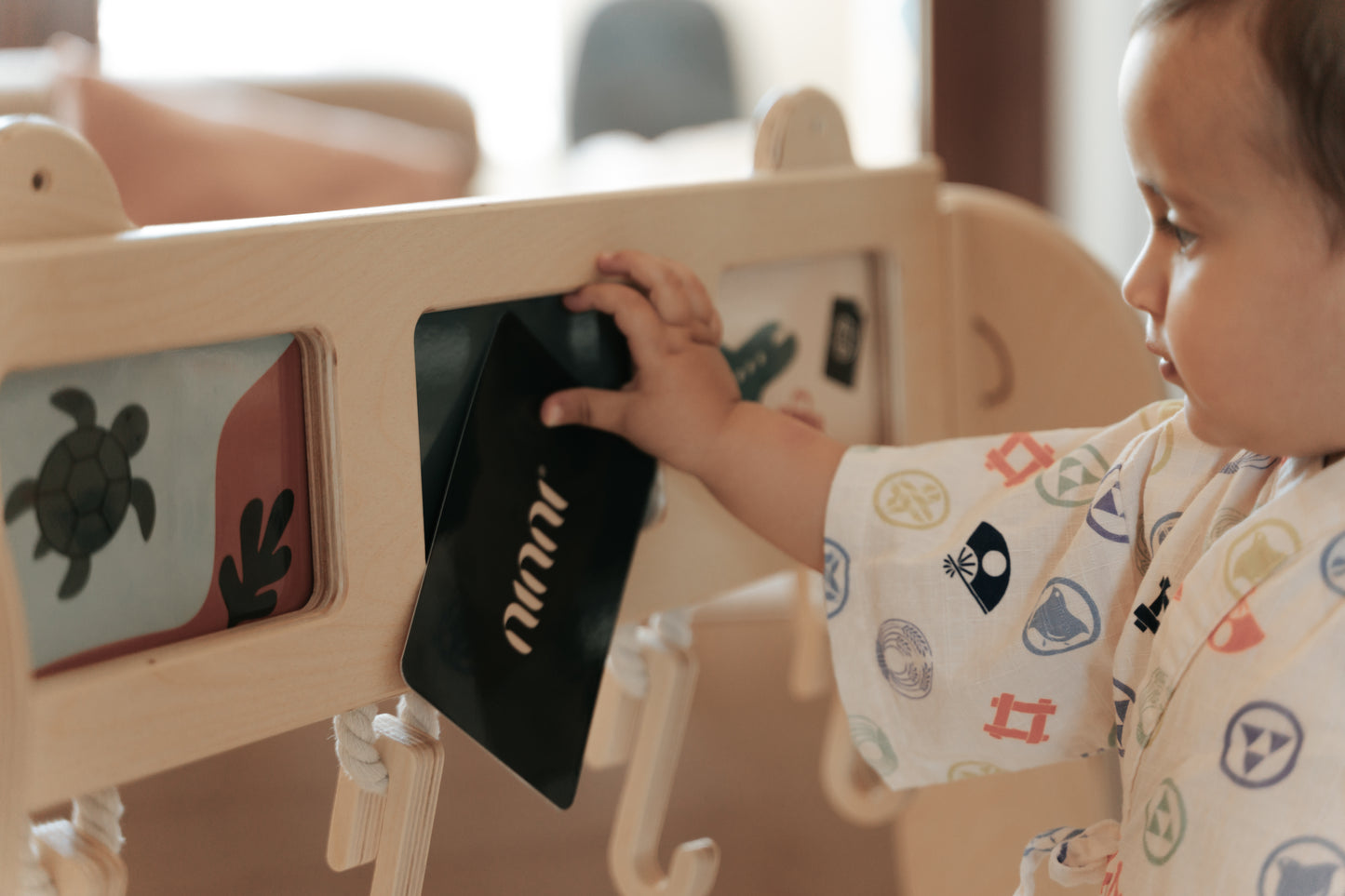 Wander Play La Palestrina evolutiva – Kit 4 in 1